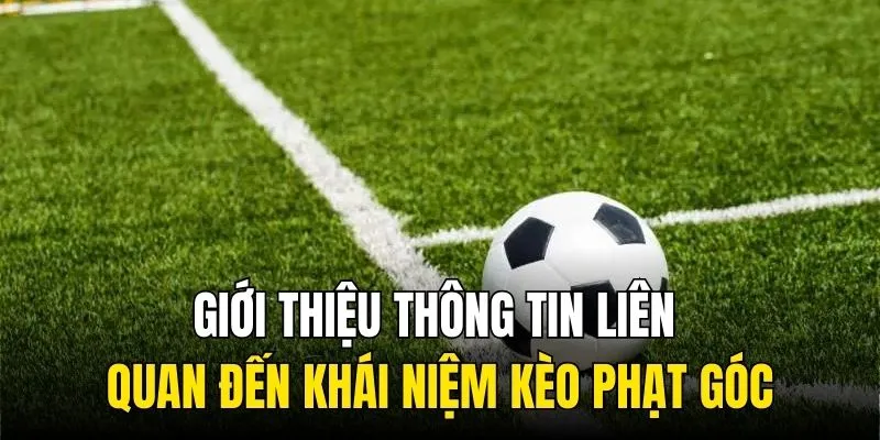 Giới thiệu thông tin liên quan đến khái niệm kèo phạt góc