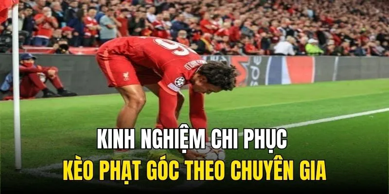 Kinh nghiệm chi phục kèo phạt góc theo chuyên gia